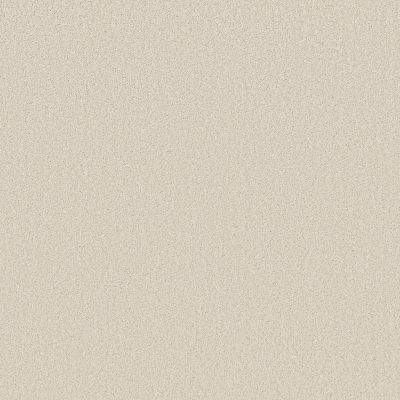 Shaw Floors Pet Perfect Plus Velvet Touch II Natural 00100_5E872