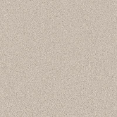 Shaw Floors Pet Perfect Plus Velvet Touch II Soft Sense 00101_5E872