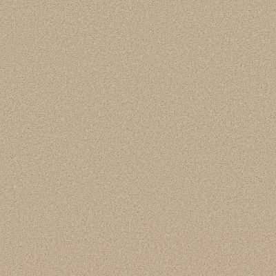 Shaw Floors Pet Perfect Plus Velvet Touch II Cashew 00102_5E872