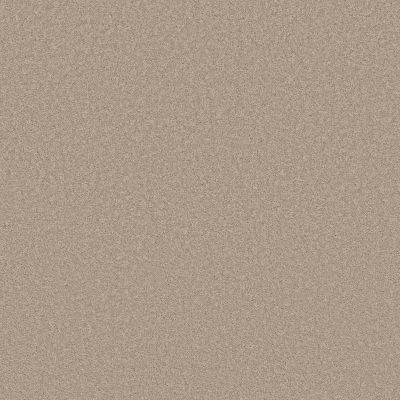 Shaw Floors Pet Perfect Plus Velvet Touch II Chic Greige 00104_5E872