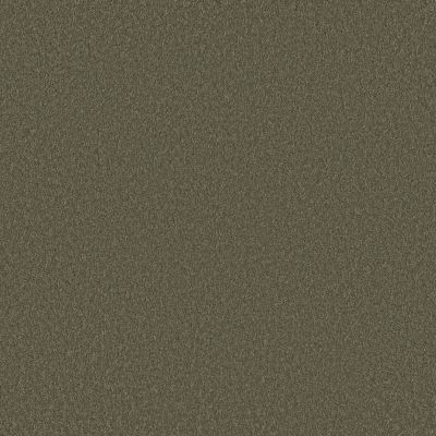Shaw Floors Pet Perfect Plus Velvet Touch II Rerooted Nature 00300_5E872