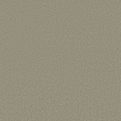 Shaw Floors Pet Perfect Plus Velvet Touch II Organic Grown 00320_5E872