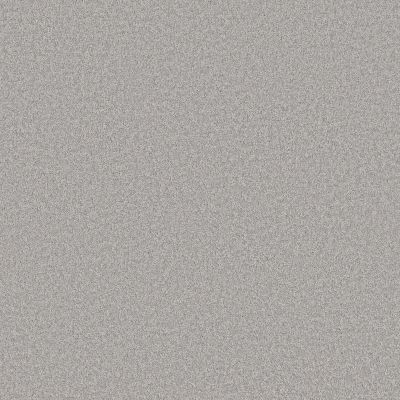 Shaw Floors Pet Perfect Plus Velvet Touch II Serene Blue 00450_5E872
