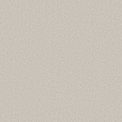Shaw Floors Pet Perfect Plus Velvet Touch II Frozen 00500_5E872