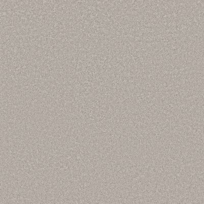 Shaw Floors Pet Perfect Plus Velvet Touch II Gravity 00501_5E872