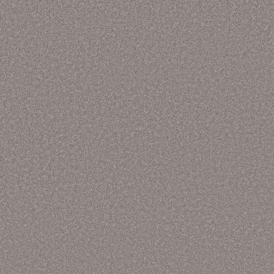 Shaw Floors PET PERFECT PLUS Velvet Touch II Vintage 00502_5E872