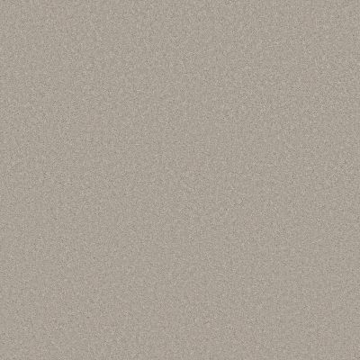 Shaw Floors Pet Perfect Plus Velvet Touch II Rock Crystal 00503_5E872