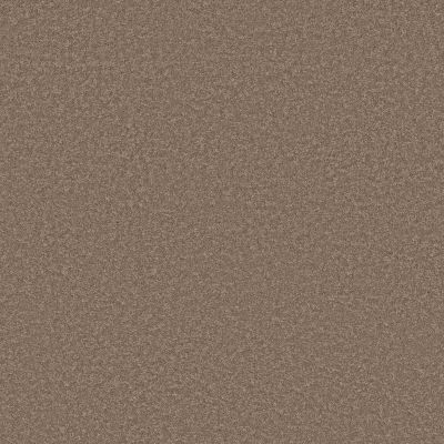 Shaw Floors Pet Perfect Plus Velvet Touch II Timberlake 00701_5E872
