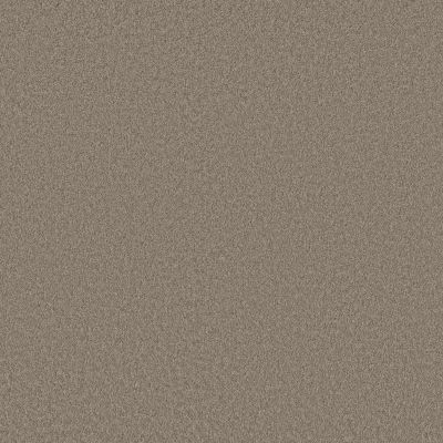 Shaw Floors Pet Perfect Plus Velvet Touch II Plaza Taupe 00702_5E872