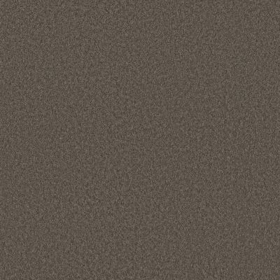 Shaw Floors Pet Perfect Plus Velvet Touch II Ashes 00750_5E872