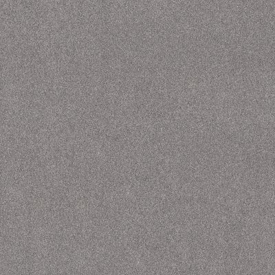 Shaw Floors PET PERFECT PLUS Vivid Touch I Graphic 00522_5E873