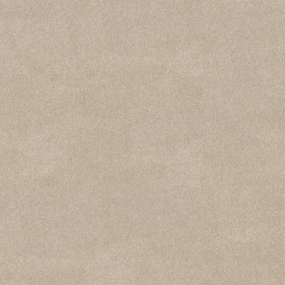 Shaw Floors PET PERFECT PLUS Vivid Touch II Dune View 00120_5E874
