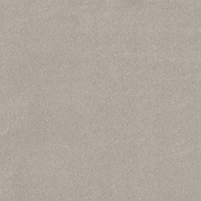 Shaw Floors PET PERFECT PLUS Vivid Touch II Beige Mist 00121_5E874