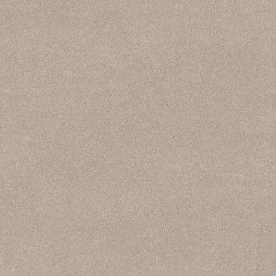 Shaw Floors PET PERFECT PLUS Vivid Touch II Cafe Latte 00122_5E874