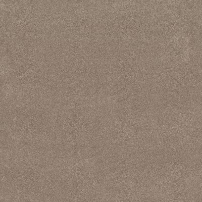 Shaw Floors PET PERFECT PLUS Vivid Touch II Stonecrest 00123_5E874