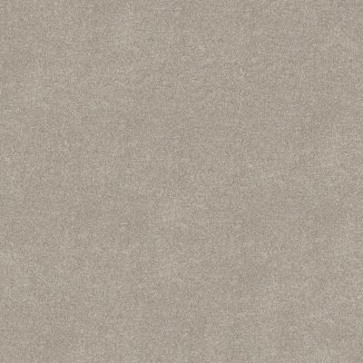 Shaw Floors PET PERFECT PLUS Vivid Touch II Chic Taupe 00124_5E874