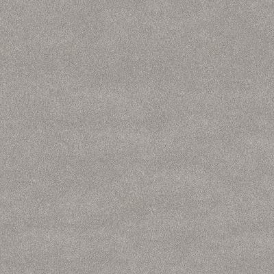 Shaw Floors PET PERFECT PLUS Vivid Touch II Four Winds 00520_5E874