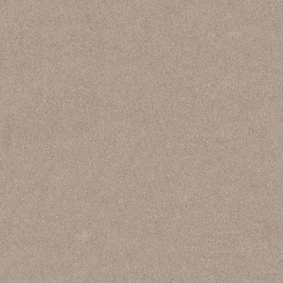 Shaw Floors PET PERFECT PLUS Vivid Touch II Baja 00720_5E874