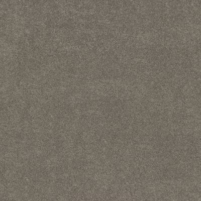 Shaw Floors PET PERFECT PLUS Vivid Touch II Hideaway 00722_5E874