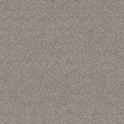 Shaw Floors VA251 Whisper 00120_VA251