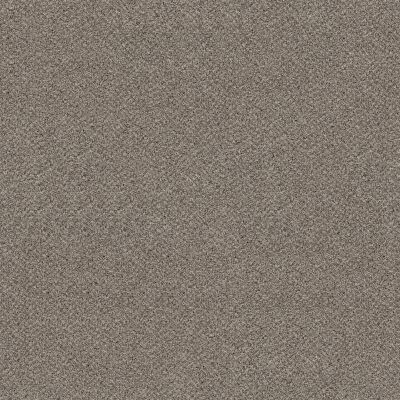 Shaw Floors VA251 Lunar 00510_VA251