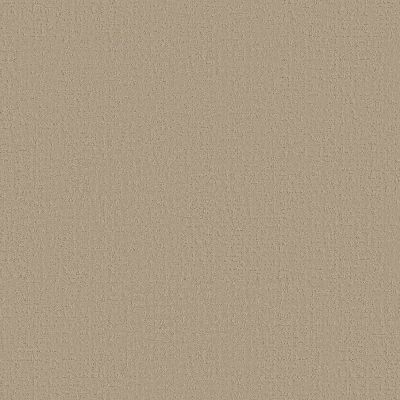 Shaw Floors Studio Plaza Twine 00100_5E870