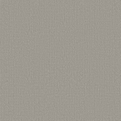 Shaw Floors Studio Plaza Sterling 00556_5E870