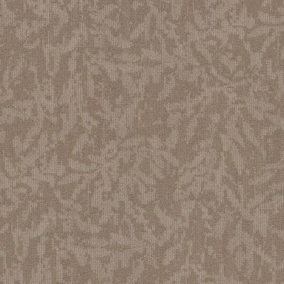 Philadelphia Commercial New Take Modern Heirloom BL Windsor Tan 00208_55014
