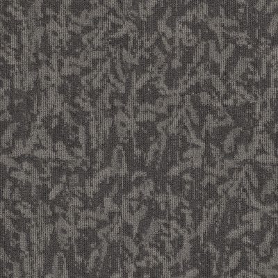 Philadelphia Commercial New Take Modern Heirloom BL Lava 00512_55014