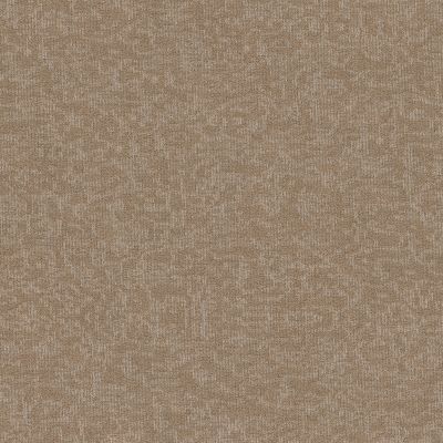 Philadelphia Commercial New Take Mindful Movements Bl Windsor Tan 00208_55015