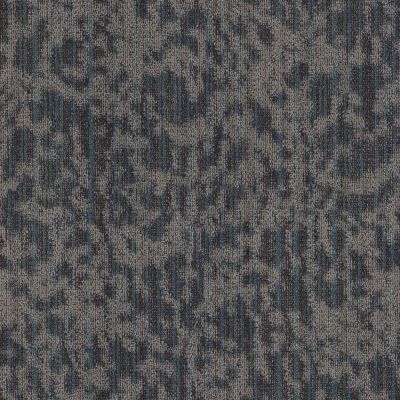 Philadelphia Commercial Natural Shelter Folium Bl Alcove 00400_55017