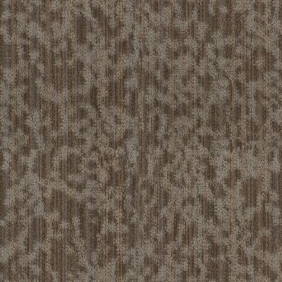 Philadelphia Commercial Natural Shelter Folium Bl Canopy 00710_55017