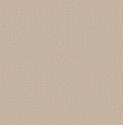 Shaw Floors Pet Perfect Plus Secret Journey Dune View 00120_5E875