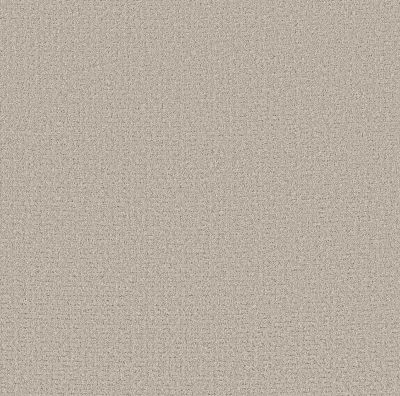 Shaw Floors Pet Perfect Plus Secret Journey Beige Mist 00121_5E875