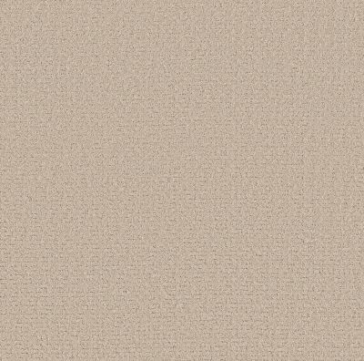 Shaw Floors Pet Perfect Plus Secret Journey Cafe Latte 00122_5E875