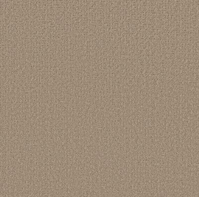 Shaw Floors Pet Perfect Plus Secret Journey Stonecrest 00123_5E875