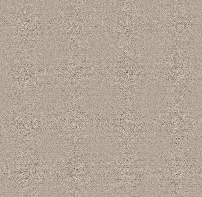 Shaw Floors Pet Perfect Plus Secret Journey Chic Taupe 00124_5E875