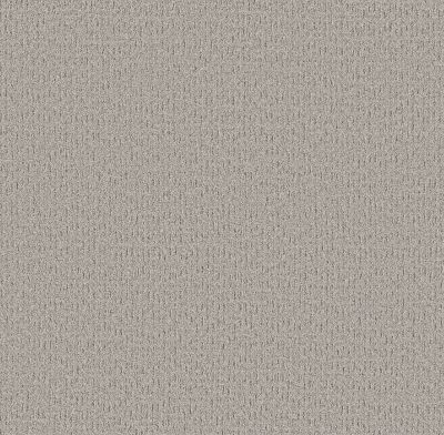 Shaw Floors Pet Perfect Plus Secret Journey Four Winds 00520_5E875