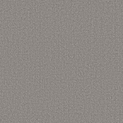 Shaw Floors Pet Perfect Plus Secret Journey Graphic 00522_5E875