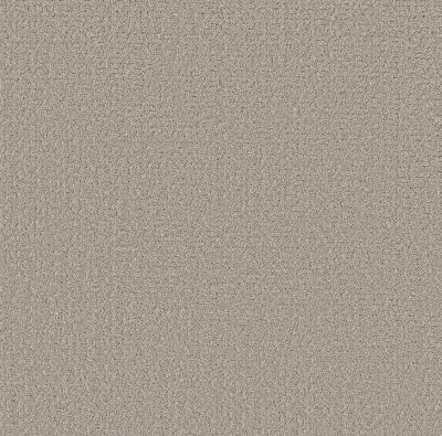 Shaw Floors Pet Perfect Plus Secret Journey Marble 00523_5E875