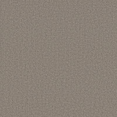 Shaw Floors Pet Perfect Plus Secret Journey Shadows 00524_5E875