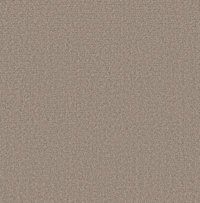 Shaw Floors Pet Perfect Plus Secret Journey Mocha 00721_5E875