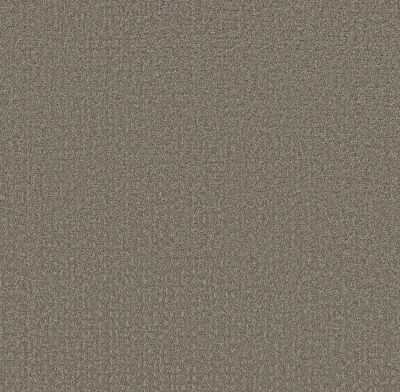 Shaw Floors Pet Perfect Plus Secret Journey Hideaway 00722_5E875