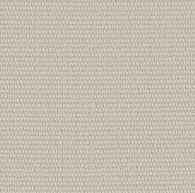 Shaw Floors PET PERFECT PLUS Cozy Embrace Twilight 00101_5E881