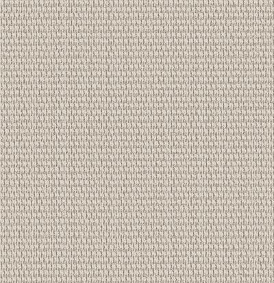 Shaw Floors PET PERFECT PLUS Cozy Embrace Wool Blanket 00105_5E881