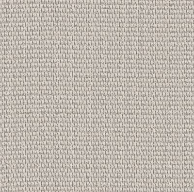 Shaw Floors PET PERFECT PLUS Cozy Embrace Creamy 00106_5E881