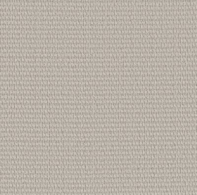 Shaw Floors PET PERFECT PLUS Cozy Embrace Marble 00108_5E881