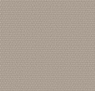 Shaw Floors PET PERFECT PLUS Cozy Embrace Blissful Beige 00109_5E881