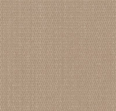 Shaw Floors PET PERFECT PLUS Cozy Embrace Sun Bleached 00110_5E881