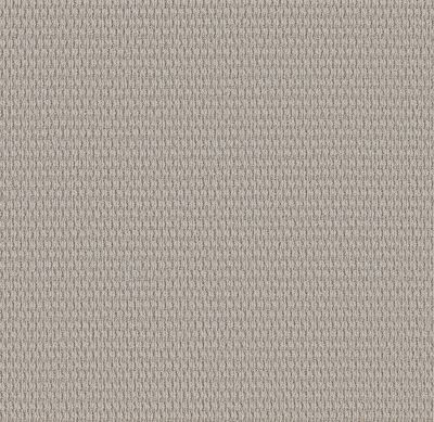 Shaw Floors PET PERFECT PLUS Cozy Embrace Platinum 00502_5E881